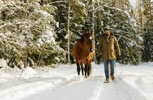 Horseback ride (1 hour)