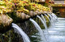 Ubud Bali: Rice Terrace, Waterfall and Tirta empul Day Tour