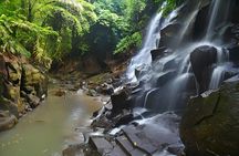 Ubud Bali: Rice Terrace, Waterfall and Tirta empul Day Tour
