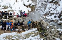 Day Trip Snow Monkey in Nagano from Tokyo by bullet train