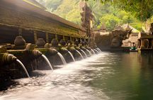 Ubud Bali: Rice Terrace, Waterfall and Tirta empul Day Tour