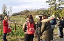 From Bordeaux: Saint-Émilion Half-Day Trip with Wine Tasting