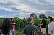 From Bordeaux: Saint-Émilion Half-Day Trip with Wine Tasting