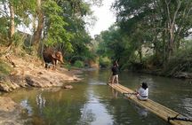 Elephant Sanctuary + Waterfall + Bamboo Rafting One Day Trip
