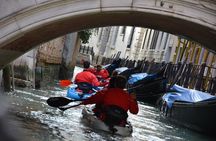 Venice: Kayak Tour in the canals from a unique POV