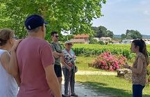 Bordeaux wine tour: 2 wineries (red & white wine)
