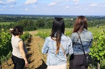 Bordeaux wine tour: 2 wineries (red & white wine)
