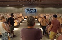 Bordeaux wine tour: 2 wineries (red & white wine)
