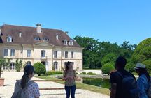 Bordeaux wine tour: 2 wineries (red & white wine)
