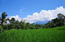 Jungle Trekking at Mt. Batukaru, scenic Waterfall & village life