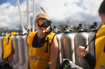 Turtle Canyon Waikiki Snorkel Adventure