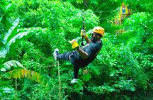 Zipline Expedition In Punta Cana