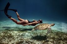 Private Turtle Spotting Snorkeling Excursion in Aruba 