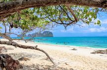 Full-Day Private Phi Phi Islands Speedboat Charter 