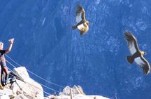 Flight of the condor