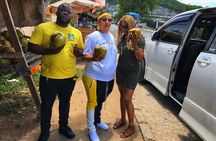 Sightseeing and Shopping Tour in Montego bay 