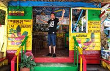 Sightseeing and Shopping Tour in Montego bay 