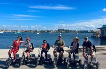Naples Florida Electric Trike Tour - Fun For The Entire Family!