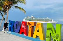 Roatán Private Tour: Sloths, Beach, Rum Tasting & Chocolate