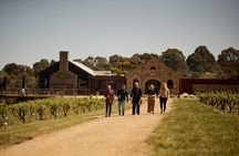 St Hugo Garden to Table Experience & Lunch