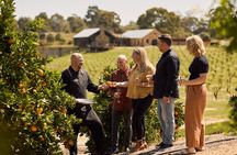 St Hugo Garden to Table Experience & Lunch