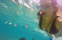 Full - Day Private Zanzibar Tour with dolphins & Sunset Beach