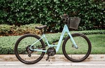 Guided Bicycle Tour of Downtown Naples Florida