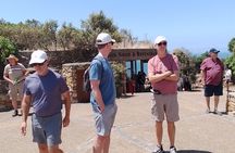 Table Mountain, Cape of Good Hope & Penguins