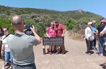 Table Mountain, Cape of Good Hope & Penguins
