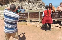 Table Mountain, Cape of Good Hope & Penguins