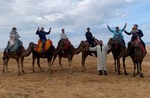 Tangier Private Full Day Tour Including Ferry Ticket & Camel Ride