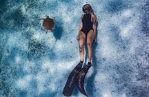 Private Turtle Snorkel Tour in Aruba +Professional video footage