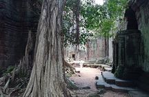 Angkor Wat Tour with Sun Rise Small Group Day Tour