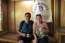 Minca's Essentials: Coffee Brews, Hiking, and Adventure