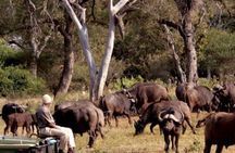 Kruger National Park 3 Day Private Safari From Johannesburg 
