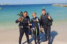 3 Days PADI Open Water Diving Course in Dubai (All inclusive)