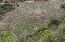 Full Day:Sacred valley,Alpaca farm,Maras,Moray and Ollantaytambo 