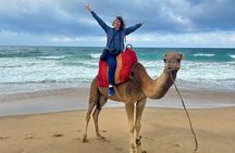 Authentic luxury Private Tour of Tangier all inclusive