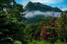 Private Anton Valley Countryside 8 hours Tour(Panama)