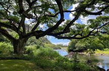Private Tour-North Shore Oahu ft. Waimea Falls-Customizable