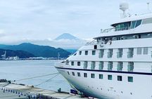 Private Sightseeing Tour from Shimizu Port / Sedan Taxi