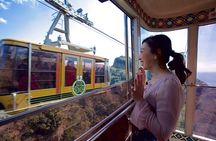 Private Sightseeing Tour from Shimizu Port / Sedan Taxi
