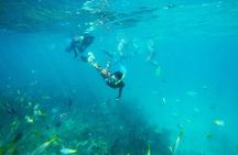 All Inclusive Sailing and Snorkeling Half Day Trip in Bahamas