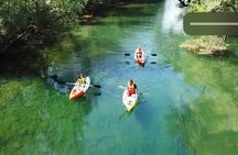 Safari kayak adventure w BBQ & Beer