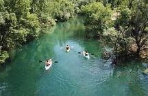 Safari kayak adventure w BBQ & Beer