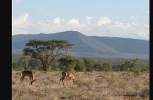 Layover and Stopover in Nairobi Private Tour