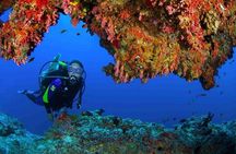 Discover Scuba Diving Experience in Dubai with Transfers Option
