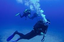 Discover Scuba Diving Experience in Dubai with Transfers Option