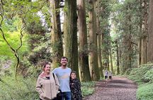 Hakone 8 hour Private Tour with Government-Licensed Guide