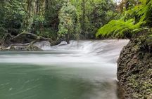 Discover Cascades & Turtle Experience with Yumi Tours